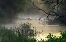  Ochrana přírody má význam i v národní bezpečnosti, ukázal jeden geniální krok ukrajinského velení