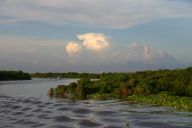 Máme se vzdát písku, abychom měli pitnou vodu? Asijská řeka Mekong a česká Morava ukazuje, že volba je blíž, než si myslíme : Kambodžské jezero Tonle Sap je jedním z…