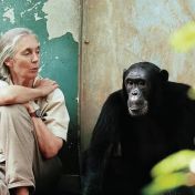 Zemřela Jane Goodallová (91), primatoložka, která změnila definici člověka