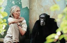 Zemřela Jane Goodallová (91), primatoložka, která změnila definici člověka