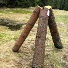Dřevo napuštěné jedy na Šumavě
