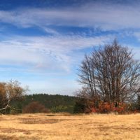 Rýchorské louky - klikněte pro zobrazení detailu