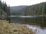 Jak vzniklo jezero Laka: Říkalo se, že v lesích na Šumavě v okolí…