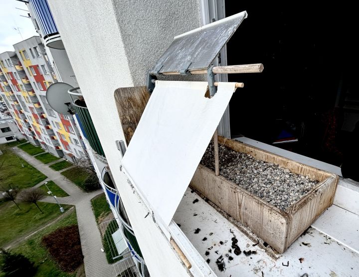 Hnízdo propoštolky - klikněte pro zobrazení detailu