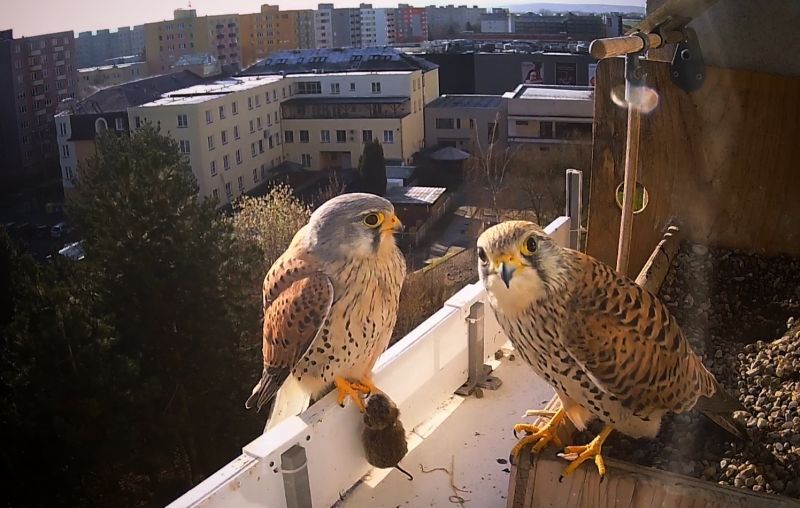 Společné foto - klikněte pro zobrazení detailu