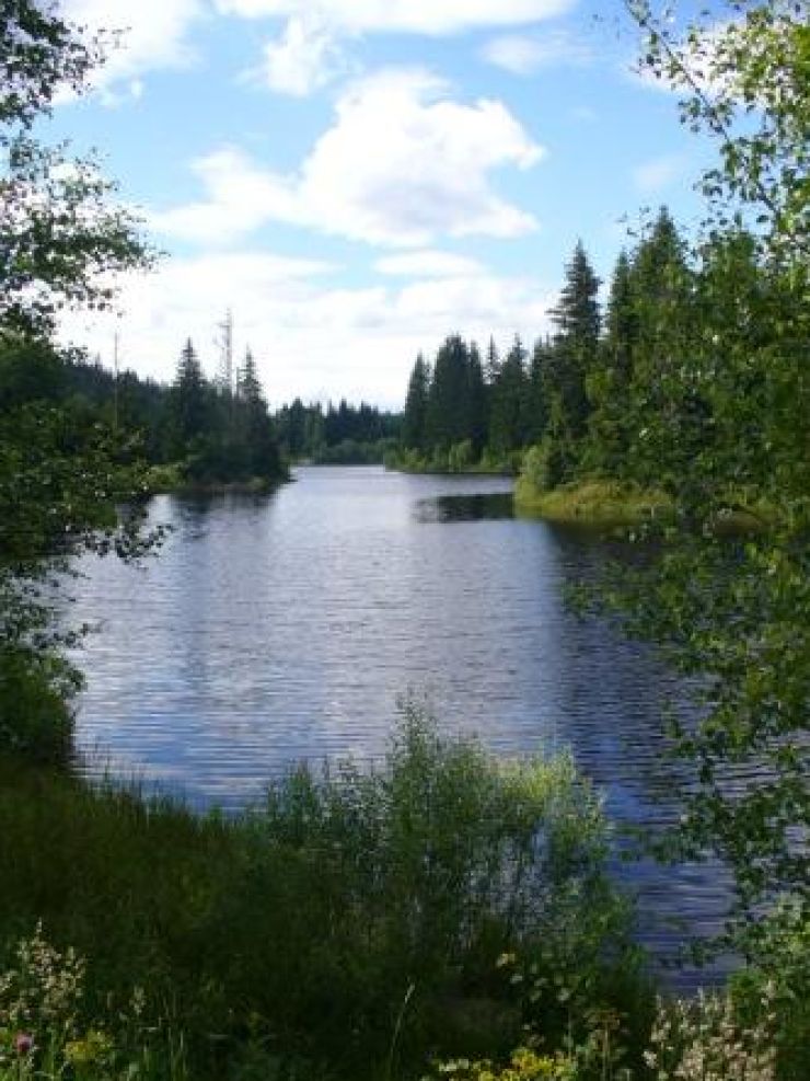 zobrazit detail snímku: Jiřický rybník u Pohoří