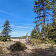 Jizerské hory - Malá jizerská louka