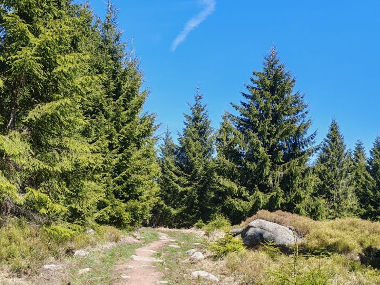 zobrazit detail snímku: Rozcestí s červenou turistickou trasou