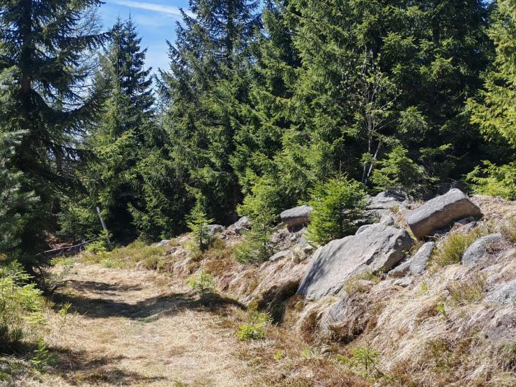 zobrazit detail snímku: Jiyerské hory - nábližka