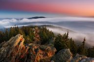 Fotografování přírody: krajina, detaily i divoká zvířata: Rádi trávíte čas v přírodě a chcete její…