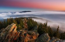 Fotografování přírody: krajina, detaily i divoká zvířata