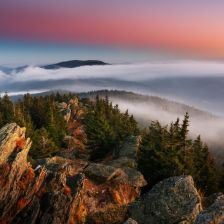 Fotografování přírody: krajina, detaily i divoká zvířata