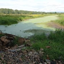 Víme, že klimatická změna probíhá. Chceme ji řešit? Polovina z nás ji ještě nezaznamenala