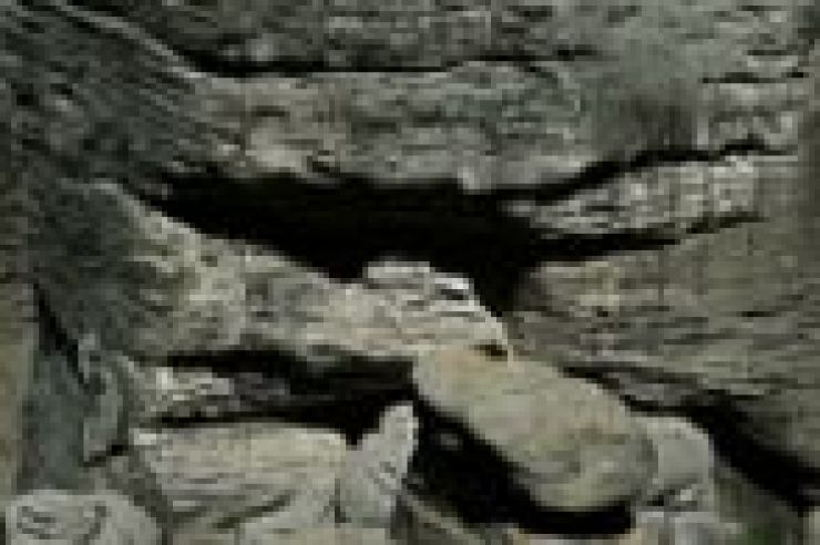 zobrazit detail snímku: Detail skály v Prachovských skalách