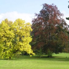 Vrchlabský park u zámku