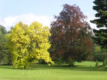 Vrchlabský park u zámku - klikněte pro zobrazení detailu