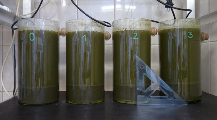 zobrazit detail snímku: Kaly