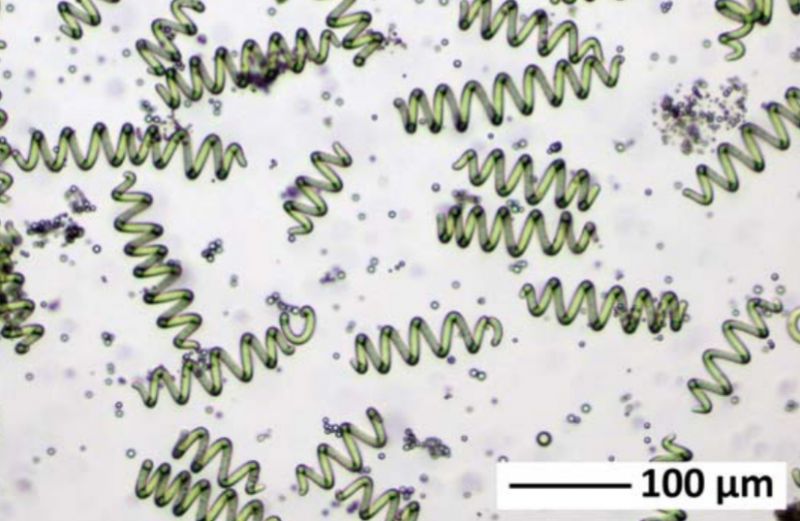 Spirulina - klikněte pro zobrazení detailu