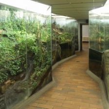 Původní expozice