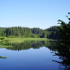 Rybník Pstruhovec, výborné koupaní