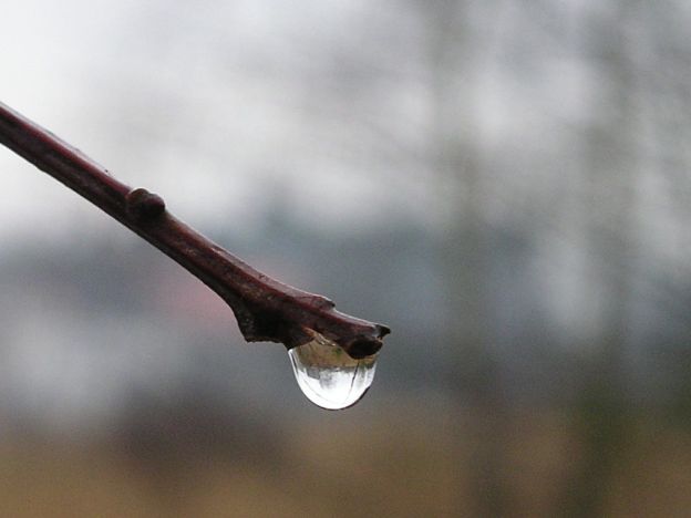 stáhnout tapetu: Kapka