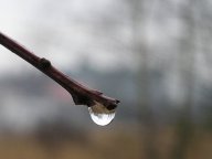 Pranostiky vztahující se ke svatému Medardovi : V tomto článku přináším přehled dostupných…