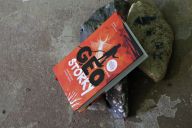 Recenze knihy Geostorky aneb tak bude trochu tepleji Recenze knihy Geostorky aneb tak bude trochu tepleji: Když se řekne popularizace vědy, málokdo si…