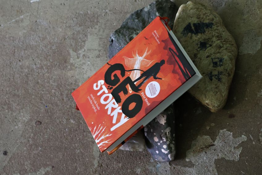 Recenze knihy Geostorky aneb tak bude trochu tepleji Recenze knihy Geostorky aneb tak bude trochu tepleji: Když se řekne popularizace vědy, málokdo si…