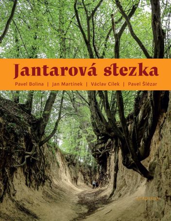 Obálka knihy Jantarová stezka - klikněte pro zobrazení detailu