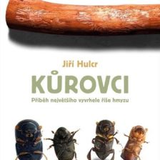 P5ebal knihy Kůrovci - Příběh největšího vyvrhele z říše hmyzu