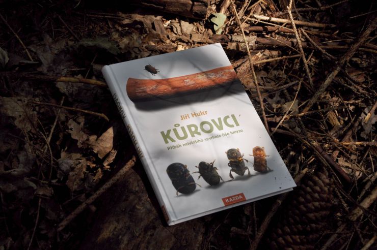 zobrazit detail snímku: Kniha Kůrovci – Příběh největšího vyvrhele z říše hmyzu