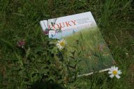 Louky – dobrodružství poznávání: Recenze knihy - Nečekejte atlas lučních rostlin,…