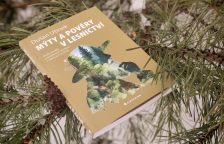 Recenze knihy Mýty a pověry v lesnictví