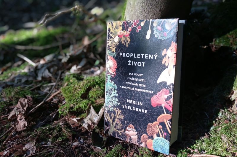 Kniha Propletený život - klikněte pro zobrazení detailu