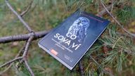 Co sova ví – nové poznatky o nejtajemnějších ptácích světa: Hlavně díky tomu, že se jedná o noční ptáky…