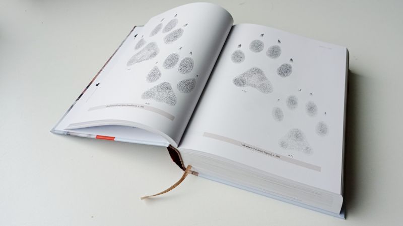 Kniha stopy evropských zvířat - stopy vlka a psa - klikněte pro zobrazení detailu