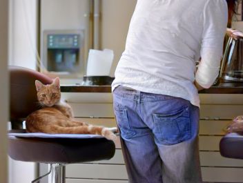 Kočka v kuchyni. - klikněte pro zobrazení detailu Kočka v kuchyni. - klikněte pro zobrazení detailu