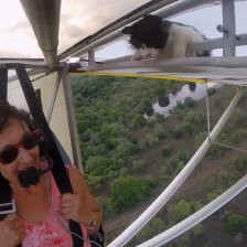 Piloti, před letem nezapomeňte zkontrolovat kočku!