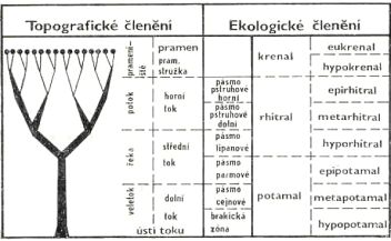 Členění toku - klikněte pro zobrazení detailu
