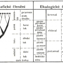 Členění toku