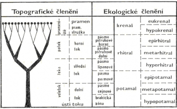 Členění toku - klikněte pro zobrazení detailu