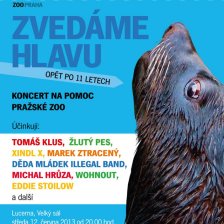 Zvedáme hlavu - opět po 11 letech