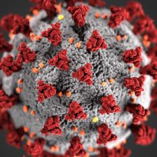 Koronavirus (COVID-19)