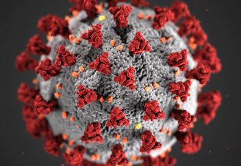 Koronavirus (COVID-19) - klikněte pro zobrazení detailu Koronavirus (COVID-19) - klikněte pro zobrazení detailu