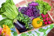 Co vám zaručí, že kupujete potraviny v BIO kvalitě? (PR): Produkty z ekologického zemědělství si…