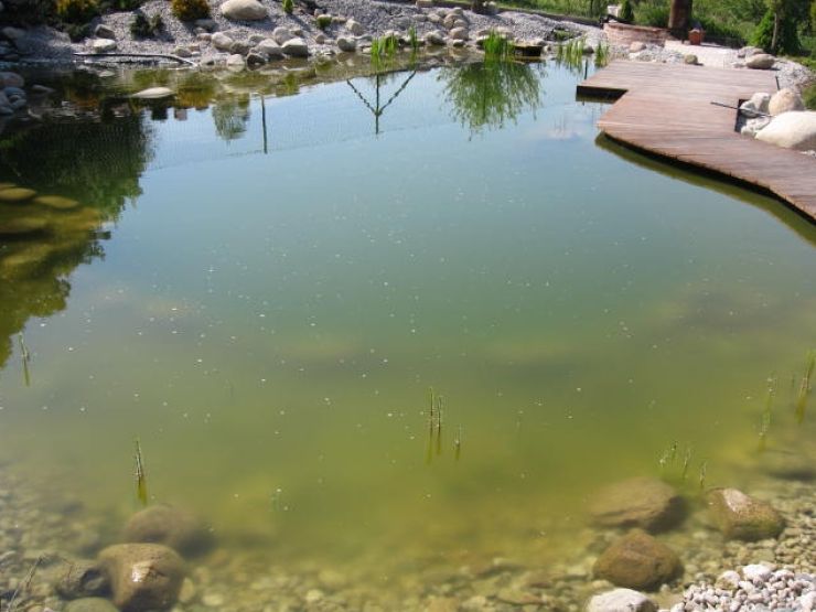 zobrazit detail snímku: Špinavé koupací jezírko