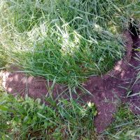 Křečkova nora - klikněte pro zobrazení detailu