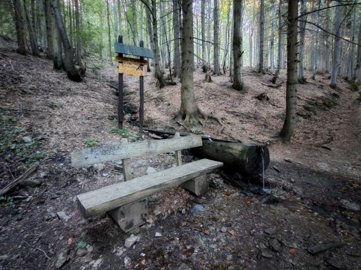 zobrazit detail snímku: Krkonoše Studánka na cestě na Mísečky