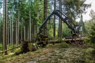 Krnap: „Poškozeny jsou kilometry cest a 1/3 roční plánované těžby dřeva“: Po řádění živlů o minulém víkendu v Krnapu…