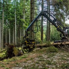 Odklízení následků vichru a deště Krnap